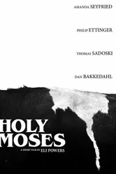 Holy Moses постер