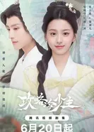 Руководство по завоеванию холодного господина 2025 постер