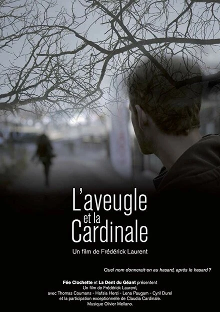 Постер L'aveugle et la Cardinale