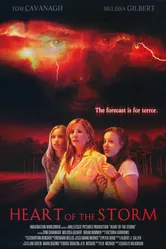 Страшнее шторма 2004 постер