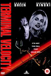 Скорость падения 1994 постер