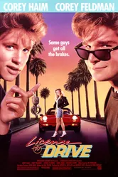 Водительские права 1988 постер