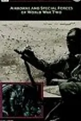 Борьба за небо 1945 постер
