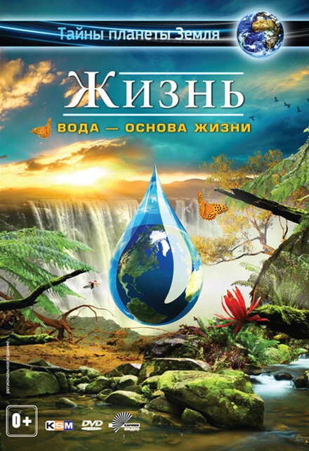 Постер Жизнь: Вода — основа жизни 2012