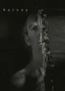 Харви 2002 постер