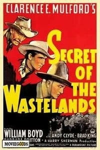 Постер Secret of the Wastelands
