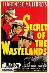 Secret of the Wastelands постер