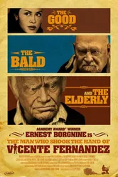 Злоключения Висента Фернандеза 2012 постер