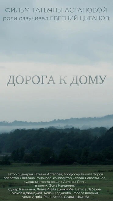 Постер Дорога к дому 2016