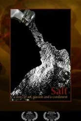 Salt 2009 постер