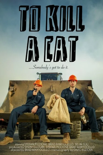 Постер To Kill a Cat