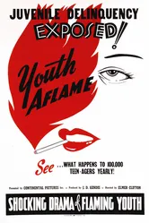 Youth Aflame постер