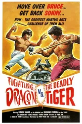 Shen long xiao hu chuang jiang hu постер