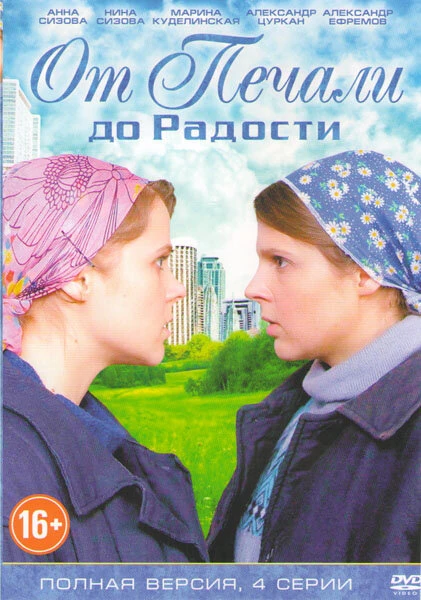 Постер От печали до радости 2016
