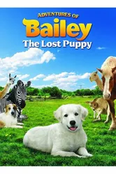 Приключения Бэйли: Потерянный щенок 2010 постер