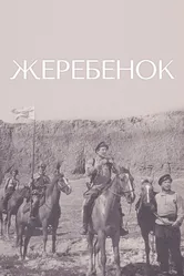 Жеребенок 1959 постер