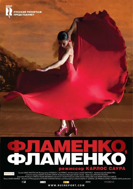 Постер Фламенко, фламенко 2010
