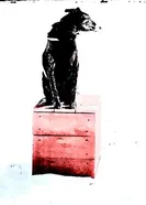 Сон Ра 2025 постер