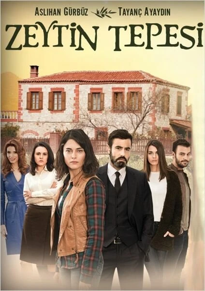Постер Zeytin Tepesi 2014