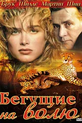 Бегущие на волю 1995 постер