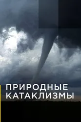 Природные катаклизмы 2019 постер