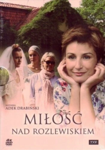 Постер Любовь у озера 2010