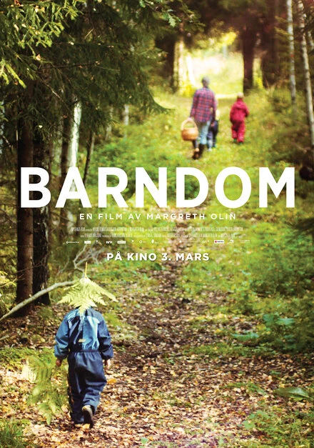 Постер Barndom
