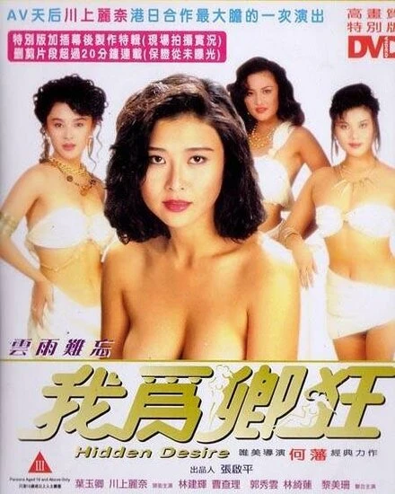 Постер Скрытое желание 1991