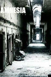 Amnesia 2010, Испания постер