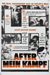 After Mein Kampf постер