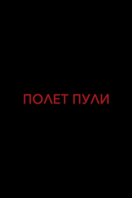 Постер Полет пули 2017