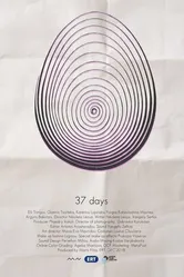 37 meres постер