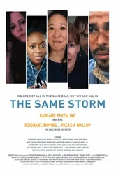 The Same Storm постер