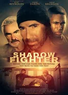 Shadow Fighter постер