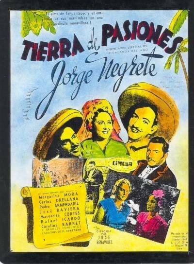Постер Tierra de pasiones