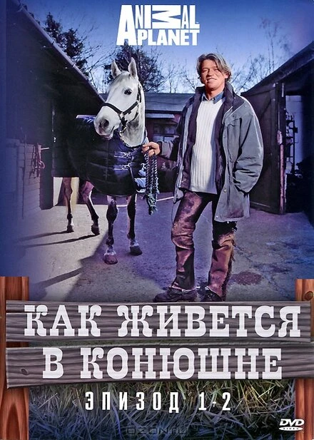 Постер Как живется в конюшне 2006