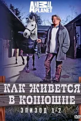 Как живется в конюшне 2006 постер