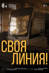 Своя линия! 2024 постер
