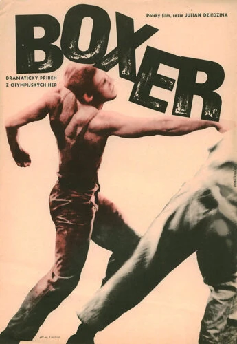Постер Боксер 1966