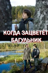 Когда зацветёт багульник 2010 постер