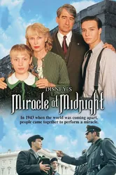 Полночное чудо 1998 постер