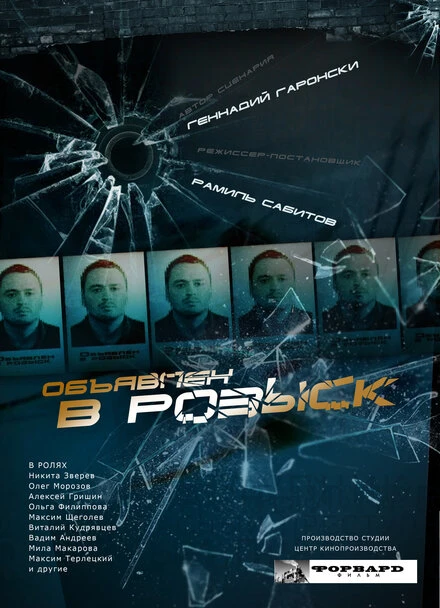 Постер Объявлен в розыск 2010