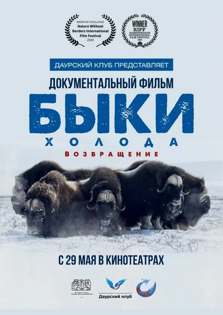 Постер Быки холода. Возвращение 2025