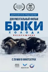 Быки холода. Возвращение 2025 постер
