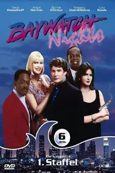 Ночи Малибу 1995 постер