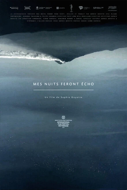 Постер Mes nuits feront écho