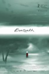Барзак 2011 постер
