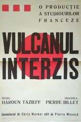 Le volcan interdit постер