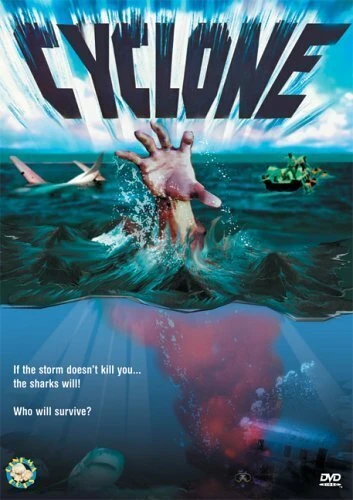 Постер Cyclone 2004