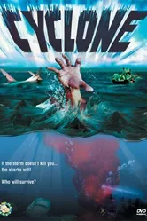Cyclone 2004 постер